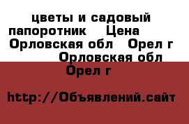 цветы и садовый папоротник  › Цена ­ 50 - Орловская обл., Орел г.  »    . Орловская обл.,Орел г.